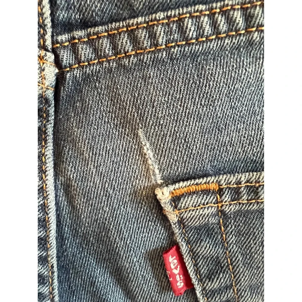 Levis levi strauss